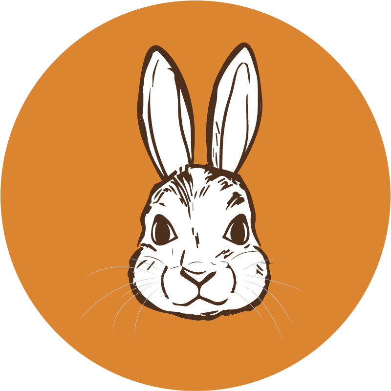 Vegan Bunny Cacauaria